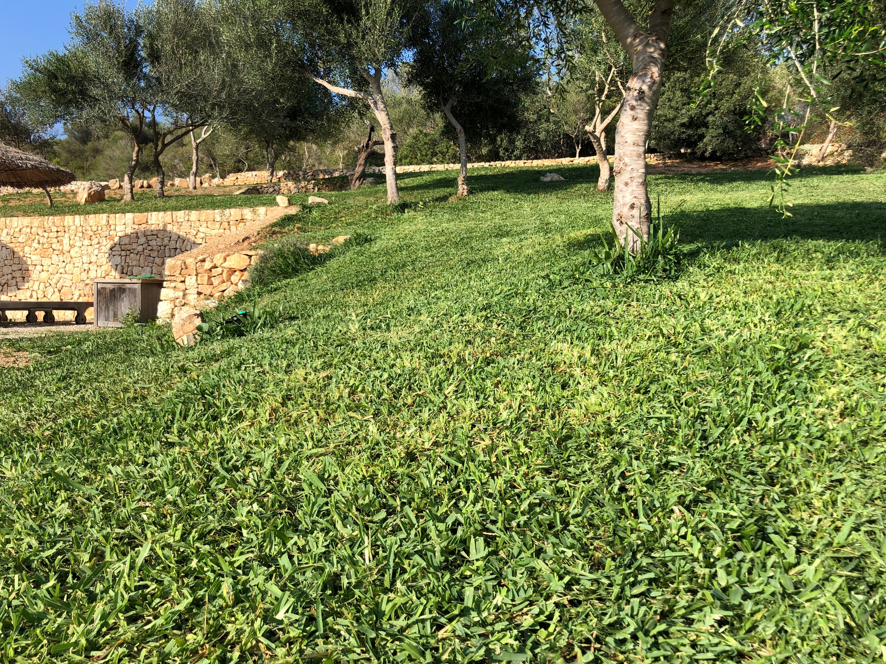 Un oasis lejos del bullicio